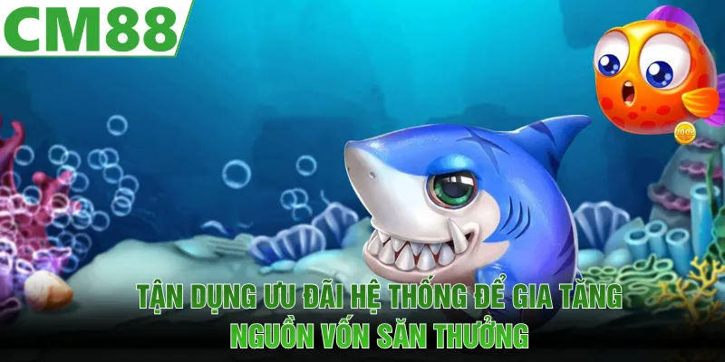 Tận dụng ưu đãi hệ thống để gia tăng nguồn vốn săn thưởng